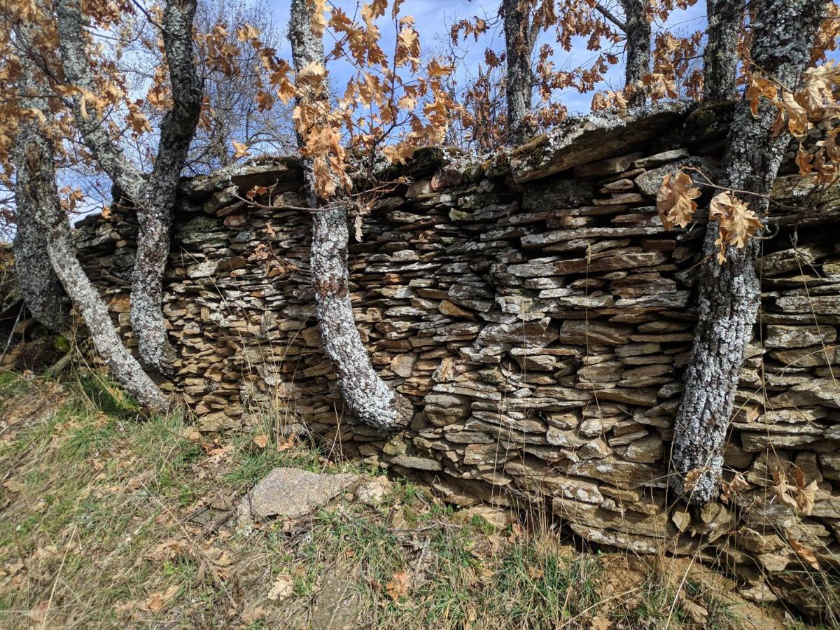Casa Rural Fuente Del Arca Montejo Montejo de la Sierra Εξωτερικό φωτογραφία