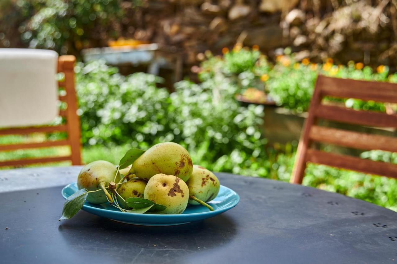Casa Rural Fuente Del Arca Montejo Montejo de la Sierra Εξωτερικό φωτογραφία